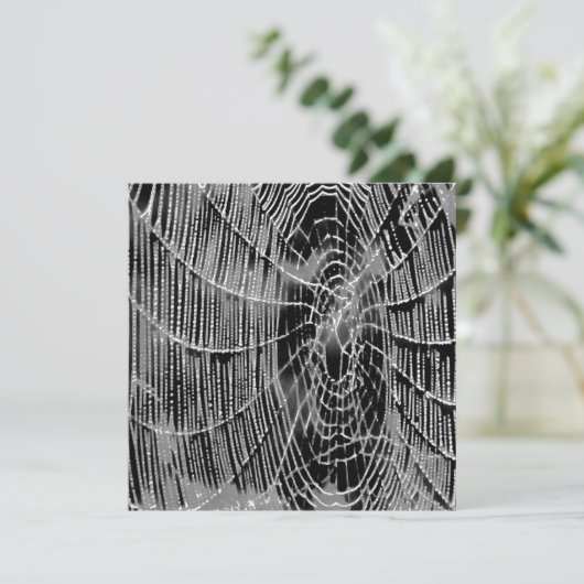黒絵画色の灰色の白いクモの巣 招待状 (スタンド正面)