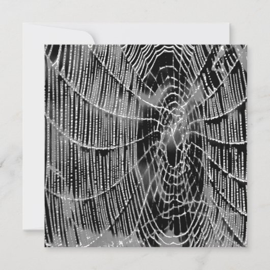 黒絵画色の灰色の白いクモの巣 招待状 (正面)