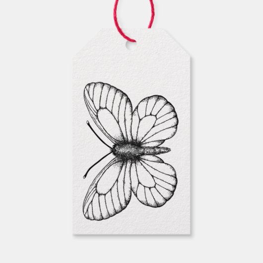 黒縁の白い蝶 ギフトタグ (裏面)