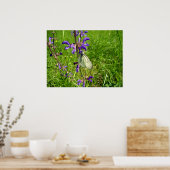 黒縁白蝶のポスター ポスター (キッチン)