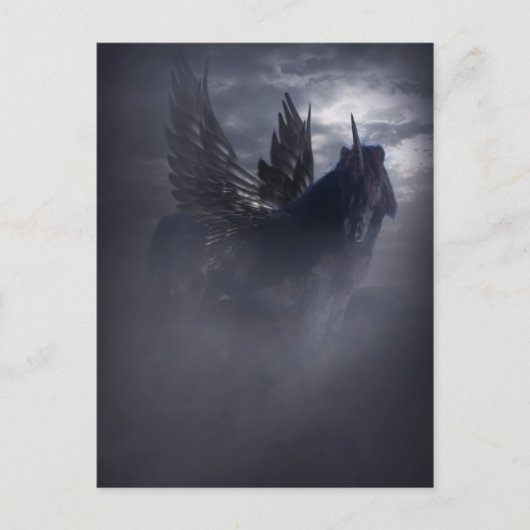 黒美しいはがき ポストカード (正面)