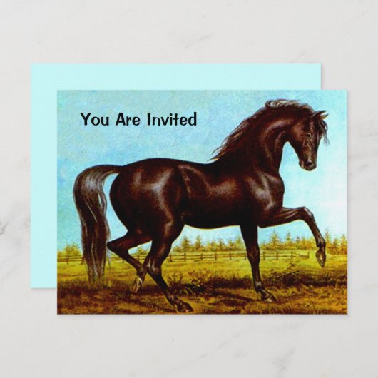 黒美しい馬誕生会の招待 招待状 (正面/裏面)