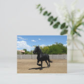 黒美しい ポストカード (スタンド正面)