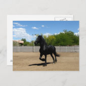 黒美しい ポストカード (正面/裏面)