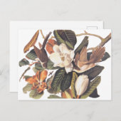 黒羽のクッコ ポストカード (正面/裏面)