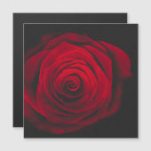 黒背景に赤いバラのビンテージ効果 (正面/裏面)