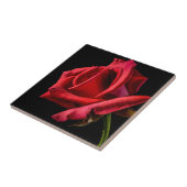 黒背景に赤いバラ タイル (側面)