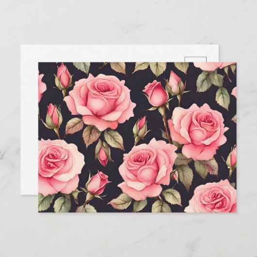 黒背景のピンクの水彩ローズ ポストカード (正面/裏面)