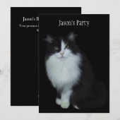 黒背景の誕生日パーティーに猫を招待 招待状 (正面/裏面)