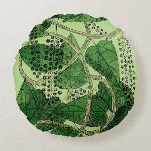 黒胡椒の植物1578年 ラウンドクッション