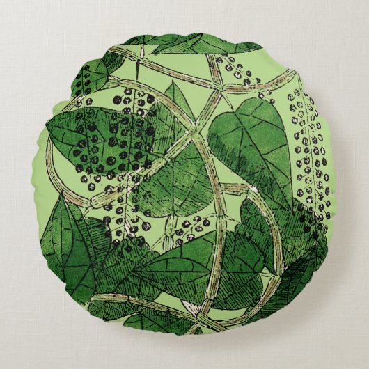 黒胡椒の植物1578年 ラウンドクッション (正面)