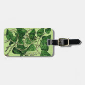 黒胡椒の植物1578年 ラゲッジタグ (正面横)