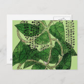 黒胡椒プラント， 1578 ポストカード (正面/裏面)