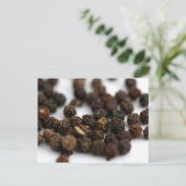 黒胡椒 ポストカード (スタンド正面)