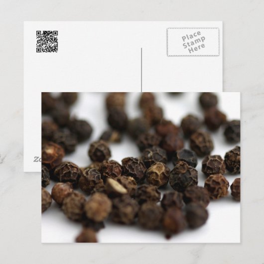 黒胡椒 ポストカード (正面/裏面)