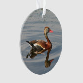 黒膨らまされた笛を吹アヒル オーナメント (正面)