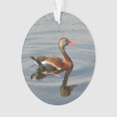 黒膨らまされた笛を吹アヒル オーナメント (正面)