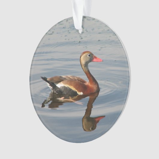 黒膨らまされた笛を吹アヒル オーナメント (正面)