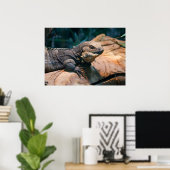 黒色肝炎菌 ポスター (ホームオフィス)