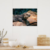 黒色肝炎菌 ポスター (キッチン)