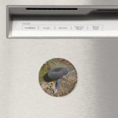 黒花きのこ磁石 マグネット (インサイチュ (食洗機))