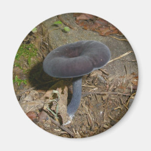 黒花きのこ磁石 マグネット