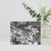 黒葉と白の ポストカード (スタンド正面)