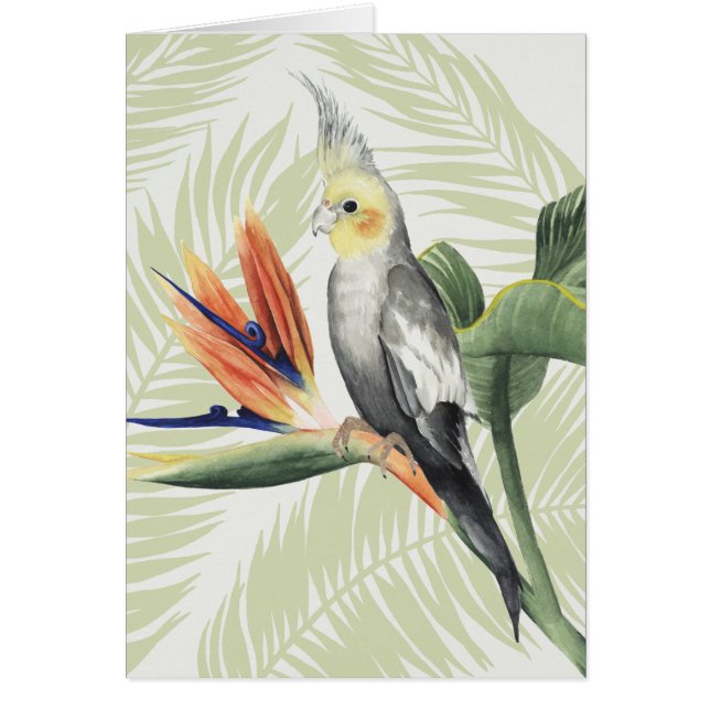 黒葉鳥の手のひら (正面)