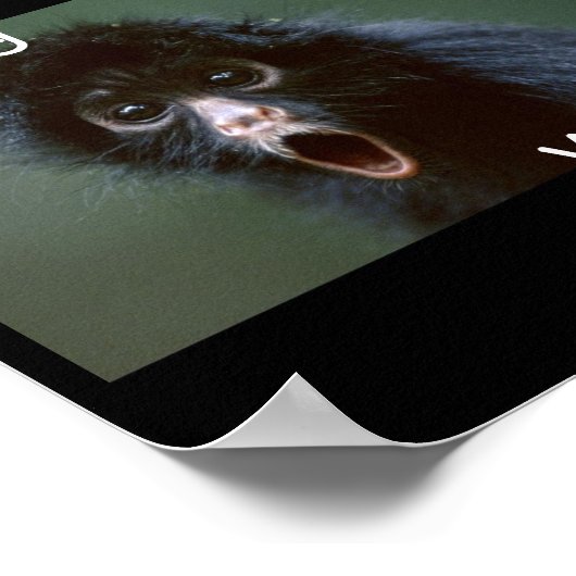 黒蜘蛛の猿が編集された,あなたが行った, WHAT!!!!! ポスター (角)