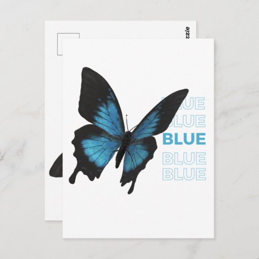 黒蝶と青蝶 ポストカード (正面/裏面)