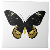 黒蝶と黄蝶 タイル (正面)