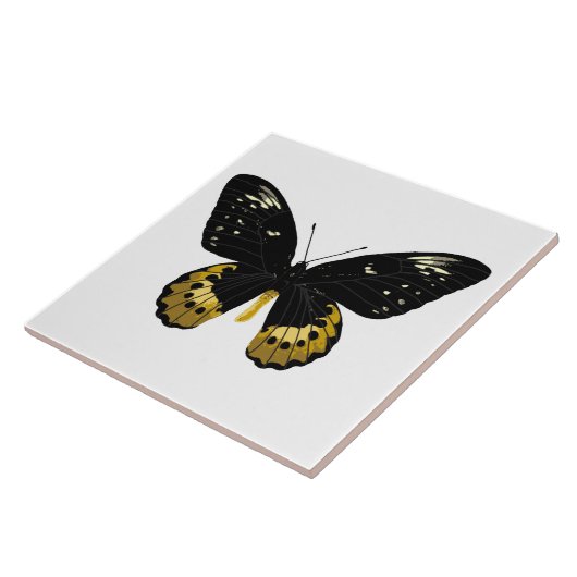 黒蝶と黄蝶 タイル (側面)