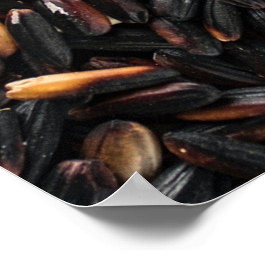 黒豆と黒豆 ポスター (角)