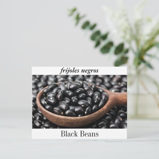 黒豆はがき、「フリジョレス・ネグロス」。 ポストカード (スタンド正面)