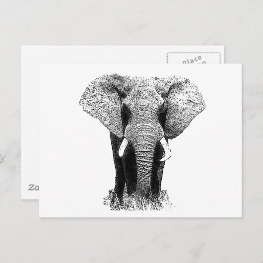 黒象と白象 ポストカード (正面/裏面)