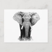 黒象と白象 ポストカード (正面)