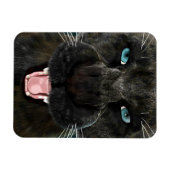 黒豹ビッグキャット マグネット (横)
