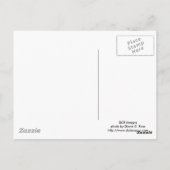 黒豹絵はがき ポストカード (裏面)