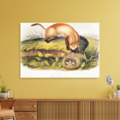 黒足のフェレット キャンバスプリント (インサイチュ (リビング))