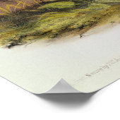 黒足のフェレット ポスター (角)