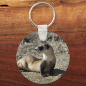 黒足のフェレット(捕虜) キーホルダー (正面)