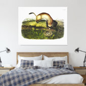 黒足フェレット、アメリカのポレカトby Audubon キャンバスプリント (インサイチュ (寝室))
