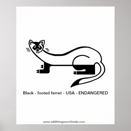 黒足フェレット – 絶滅危惧動物 – 自然 ポスター (正面)