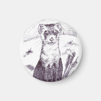 黒足付きフェレット – マグネット