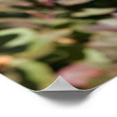 黒長髪ドイツの羊飼い ポスター (角)