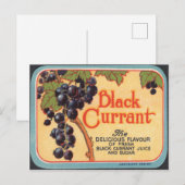 黒電流 ポストカード (正面/裏面)