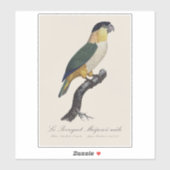 黒頭のオスのインコ、Pionites Melanocephalus シール (シート)