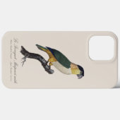 黒頭のオスのインコ、Pionites Melanocephalus Case-Mate iPhoneケース (裏面 (横))
