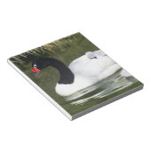 黒首の白鳥の大人と水の中のシチュー。 ノートパッド (アングル)