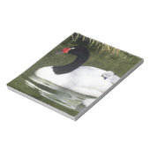 黒首の白鳥の大人と水の中のシチュー。 ノートパッド (回転)